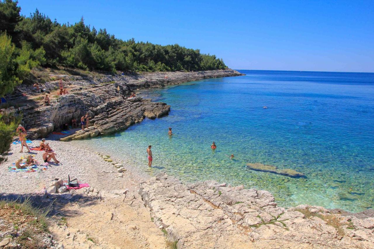 Ma Premantura Luxury Apartments Ferienwohnung Unterkunft - Premantura Pula Istria エクステリア 写真